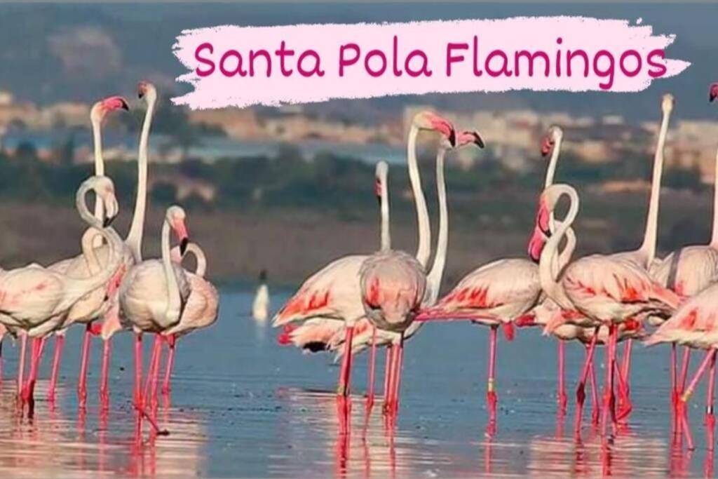 Close To Beaches & Golf Courses - With Pool & Bbq Αλικάντε Εξωτερικό φωτογραφία